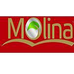 Molina