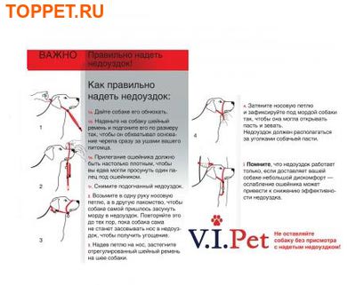 V.I.Pet   ,  (,  2)