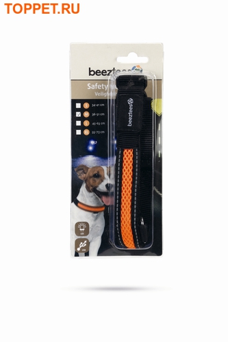 Beeztees      USB (,  1)