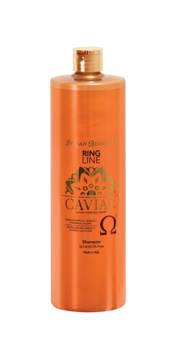 IV SAN BERNARD Caviar      (,  1)