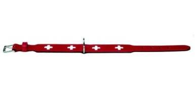 Hunter    Swiss  / (,  1)