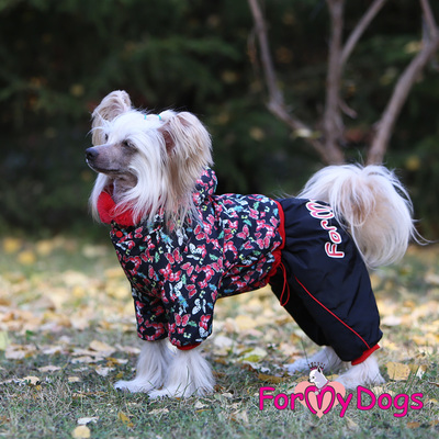 ForMyDogs    "", /,  14, 20    (,  2)