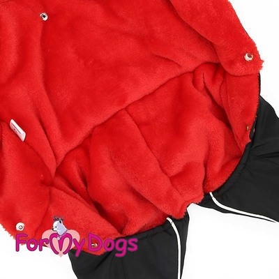 ForMyDogs      /,  8,    (,  1)