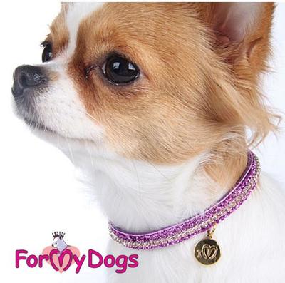 ForMyDogs         ,  1*21 (,  1)