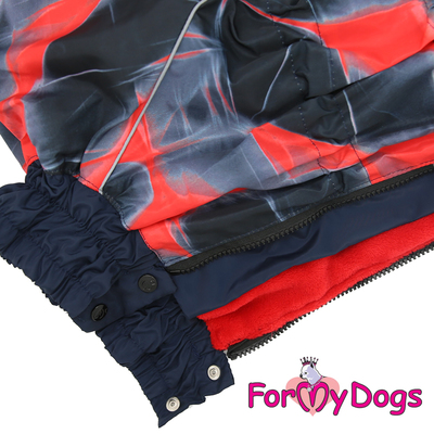 ForMyDogs     ,   ,  D1 (,  1)