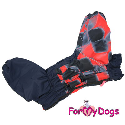 ForMyDogs     ,   ,  D1 (,  2)