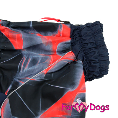 ForMyDogs     ,   ,  D1 (,  4)