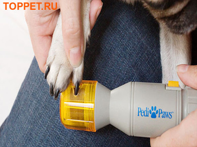 AKC(American Kennel Club)    Pedi Paws (,  1)