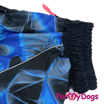 ForMyDogs     ,   ,  2 (,  3)