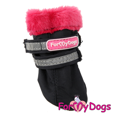 ForMyDogs    , /,  3 (,  1)