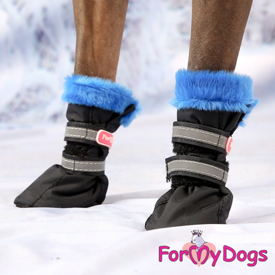 ForMyDogs    , /,  0 (,  1)