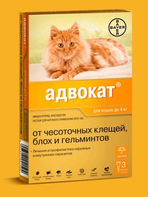 Bayer       4 3*0,4 (,  1)