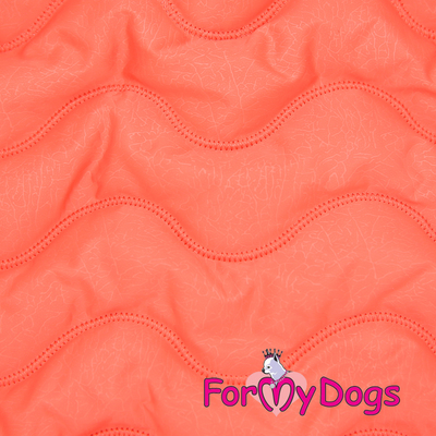 ForMyDogs     ,  D2 (,  2)