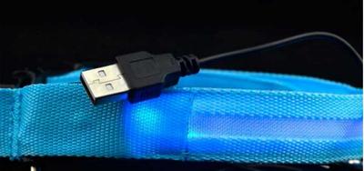 АНТ Ошейник светящийся на светодиодах Pet Collar с USB, 3 размера (фото, вид 1)