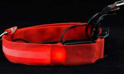 АНТ Ошейник светящийся на светодиодах Pet Collar с USB, 3 размера (фото, вид 2)