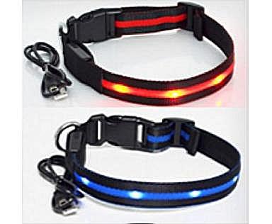      Pet Collar  USB, 3  (,  3)