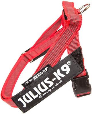 K9-Sport JULIUS     Color & Gray IDC,  (,  1)