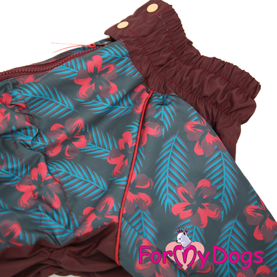 ForMyDogs    , ,   ,  2 (,  2)