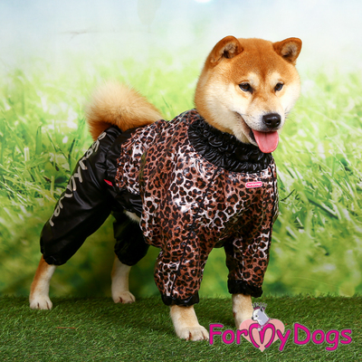 ForMyDogs     "" /,   ,  3,  50 (,  2)