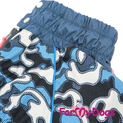 ForMyDogs     "" ,   ,  2 (,  3)
