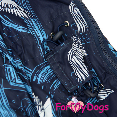 ForMyDogs     ,   ,  1 (,  1)