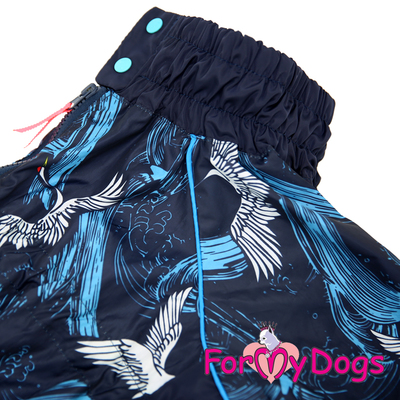 ForMyDogs     ,   ,  1 (,  2)