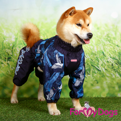 ForMyDogs     ,   ,  1 (,  3)