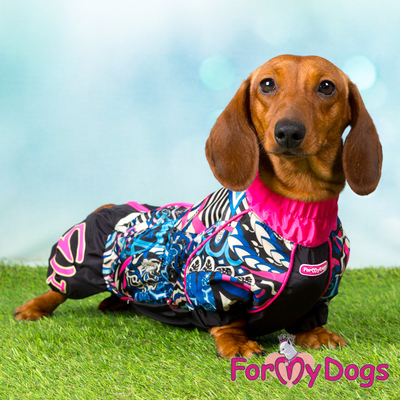 ForMyDogs    /,   ,  1 (,  2)