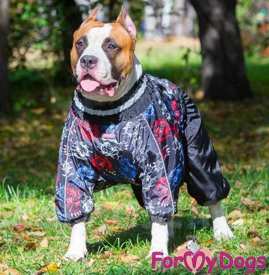 ForMyDogs     "", ,   ,  3 (,  1)