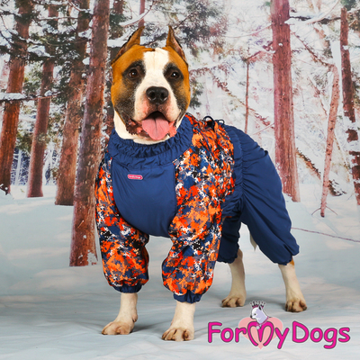 ForMyDogs     /,  2,    (,  1)
