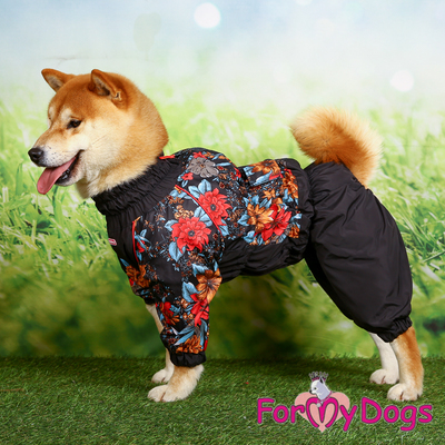 ForMyDogs     /,   ,  D3 (,  2)