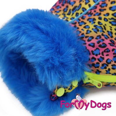 ForMyDogs     "",  1,    (,  2)