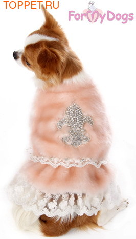ForMyDogs ����� ��� ����� � ����������� � ���������, ���� ����������, ������ 10 (����, ��� 1)