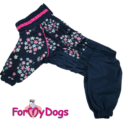 ForMyDogs     "", /,   ,  D3 (,  3)