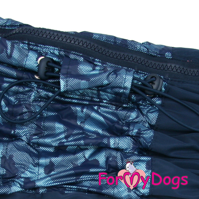 ForMyDogs     ,   ,  1,  35 (,  1)