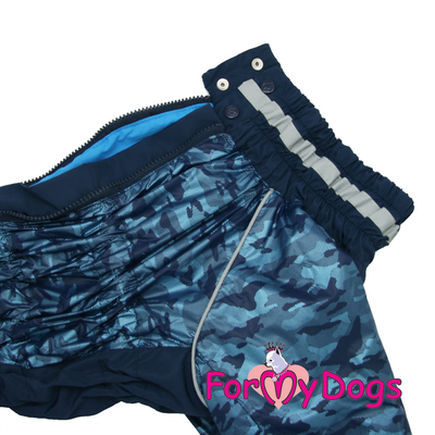 ForMyDogs     ,   ,  1,  35 (,  2)