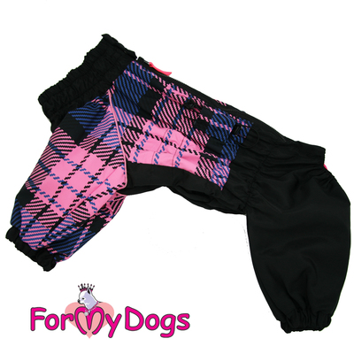 ForMyDogs    , /  ,   ,  D3 (,  3)