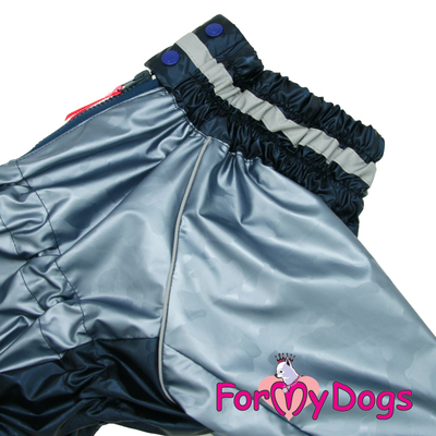 ForMyDogs      ,   ,  D1 (,  1)