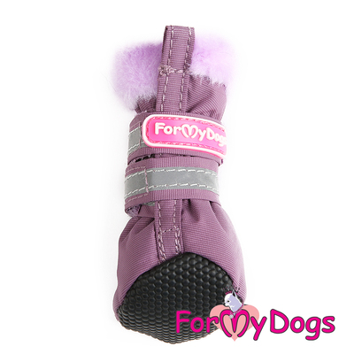 ForMyDogs     , ,  1, 2 (,  1)
