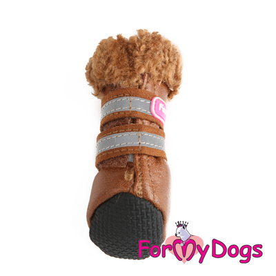 ForMyDogs     ,  1 (,  1)