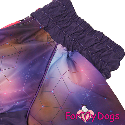 ForMyDogs    , ,   ,  D3 (,  1)