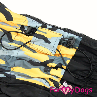 ForMyDogs     /,   ,  D2 (,  1)