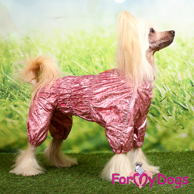 ForMyDogs     ,   ,  22,  42 (,  1)