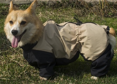 LifeDog     , /,  3XL,  48-50 (,  1)