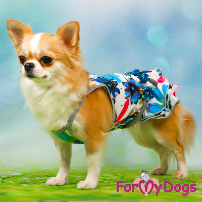 ForMyDogs     "",  10 (,  1)
