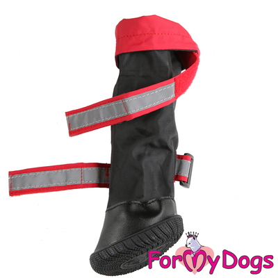 ForMyDogs             , /  8, 9, 10 (,  2)