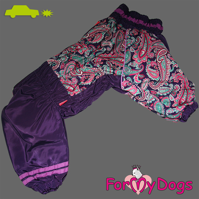 ForMyDogs     ""  ,  D3 (,  3)