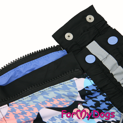 ForMyDogs     /,   ,  D1 (,  2)