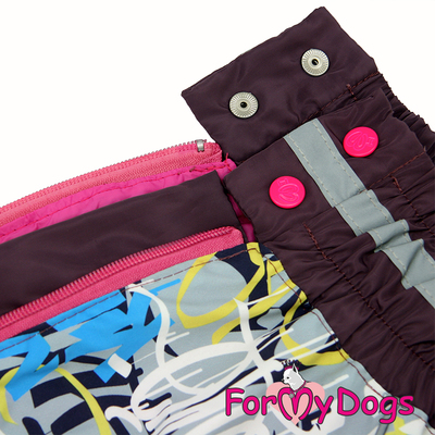 ForMyDogs    , /,   ,  1 (,  2)