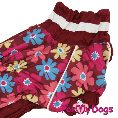 ForMyDogs     "",  2, 2    (,  2)